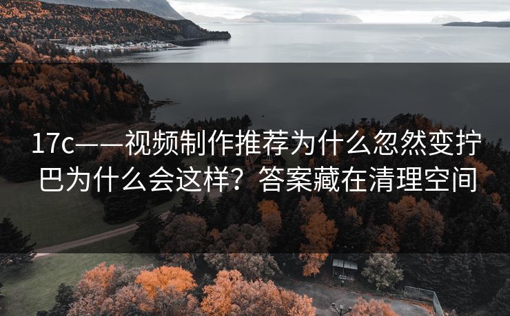 17c——视频制作推荐为什么忽然变拧巴为什么会这样？答案藏在清理空间