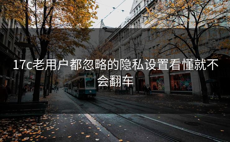 17c老用户都忽略的隐私设置看懂就不会翻车