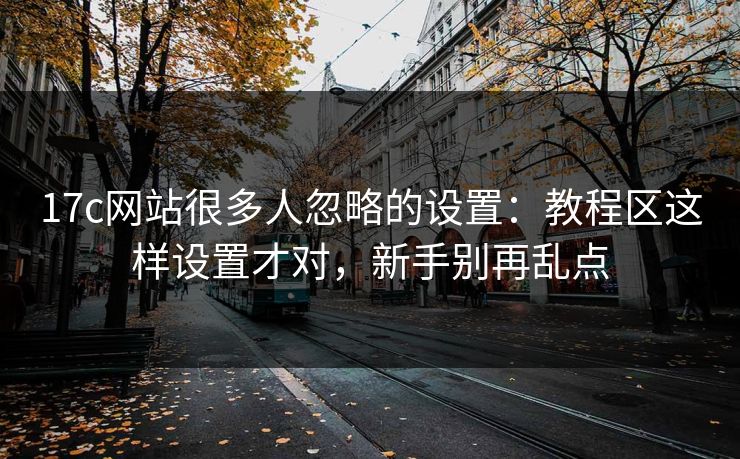 17c网站很多人忽略的设置：教程区这样设置才对，新手别再乱点